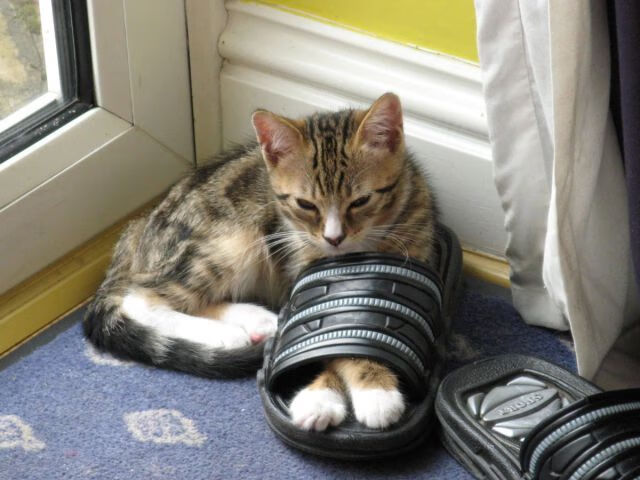 英超经典逆转:场面火爆,战术高超,英超大逆转